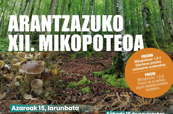 Arantzazuko XII. Mikopoteoa