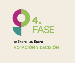 Votar y decidir