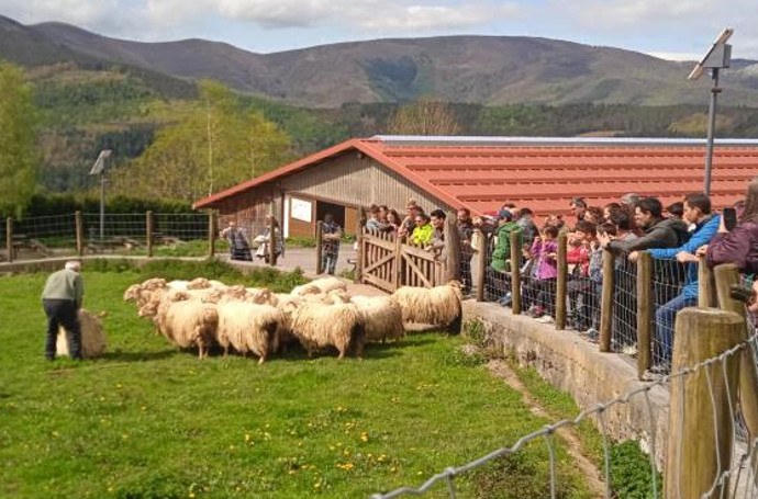 Gaztagintzaren sekretuak Arantzazun