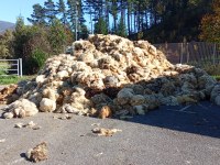 Urrutxuko ekarpen gunean jasoko da Debagoieneko artilea, uztailaren 10ean