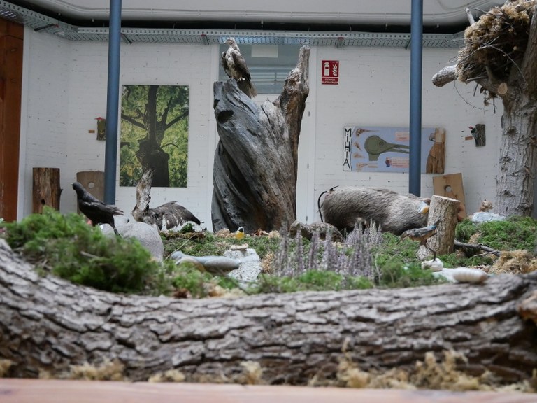 Diorama.JPG Diorama.JPG